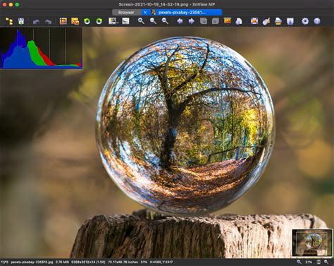 xnview xnview|xnview image viewer.